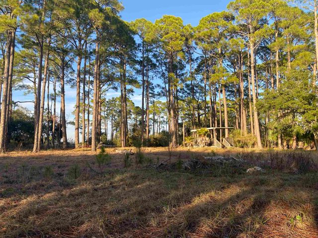 7 Tide Creek Drive, Panacea, FL 32346