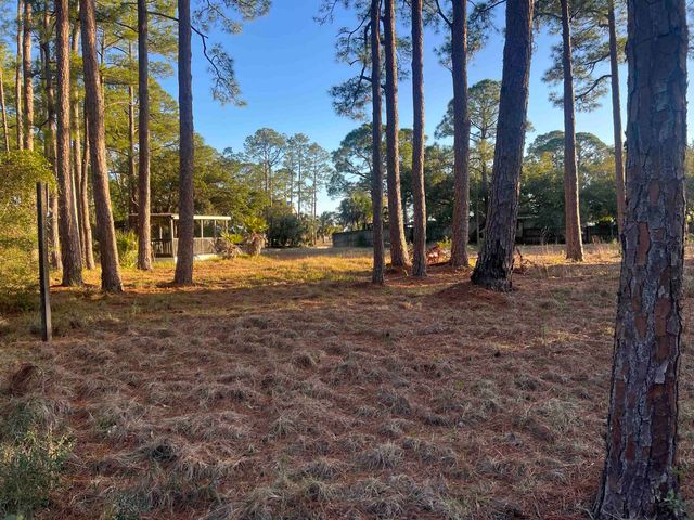 7 Tide Creek Drive, Panacea, FL 32346