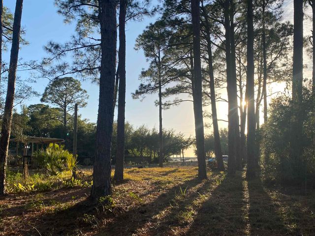 7 Tide Creek Drive, Panacea, FL 32346