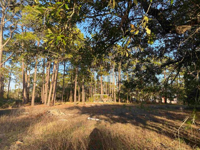 7 Tide Creek Drive, Panacea, FL 32346