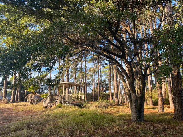 7 Tide Creek Drive, Panacea, FL 32346