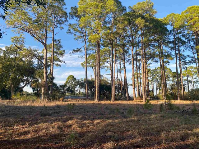 7 Tide Creek Drive, Panacea, FL 32346