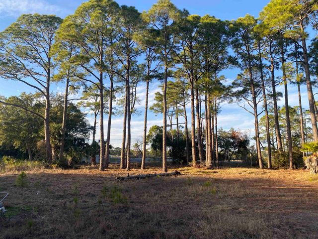 7 Tide Creek Drive, Panacea, FL 32346