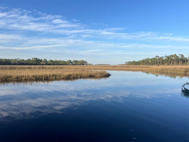 7 Tide Creek Drive, Panacea, FL 32346