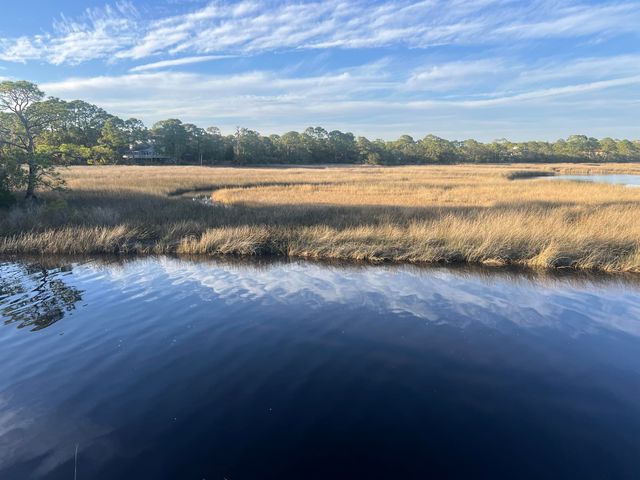 7 Tide Creek Drive, Panacea, FL 32346