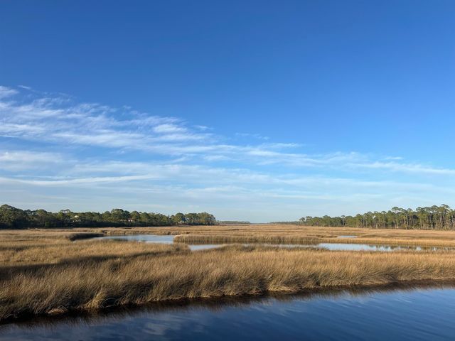 7 Tide Creek Drive, Panacea, FL 32346