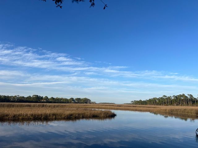 7 Tide Creek Drive, Panacea, FL 32346