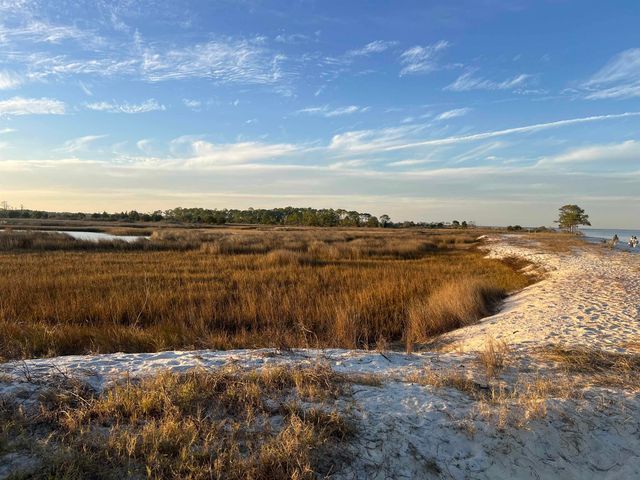 7 Tide Creek Drive, Panacea, FL 32346