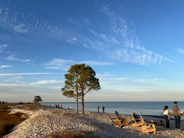 7 Tide Creek Drive, Panacea, FL 32346