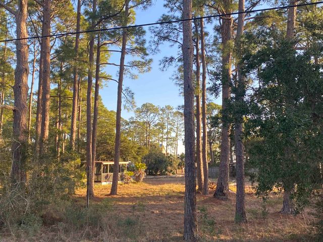 7 Tide Creek Drive, Panacea, FL 32346