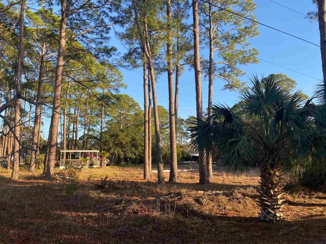 7 Tide Creek Drive, Panacea, FL 32346