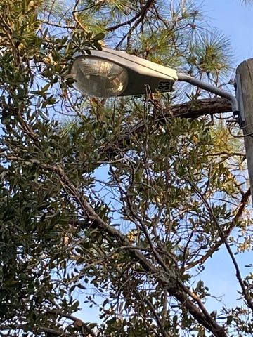 7 Tide Creek Drive, Panacea, FL 32346