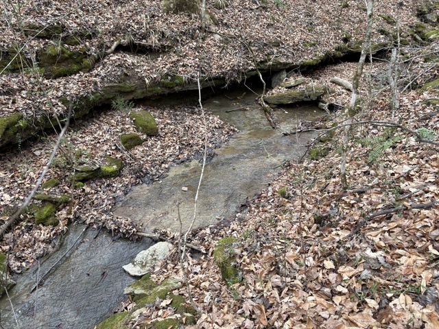 594 Highway 100, Centerville, TN 37033