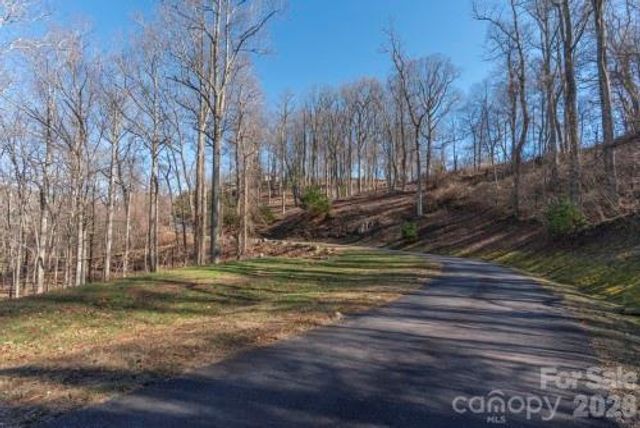 96 Castanea Mountain Drive, Asheville, NC 28803