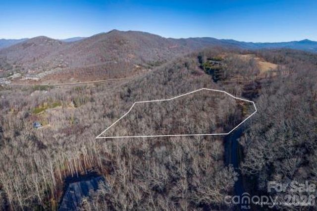 96 Castanea Mountain Drive, Asheville, NC 28803