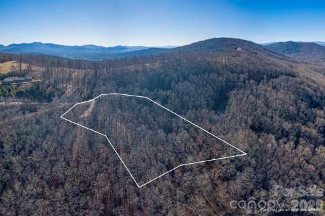 96 Castanea Mountain Drive, Asheville, NC 28803