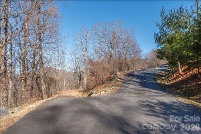 96 Castanea Mountain Drive, Asheville, NC 28803