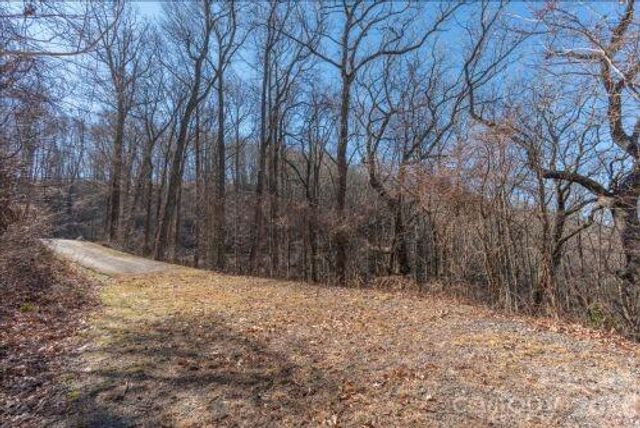96 Castanea Mountain Drive, Asheville, NC 28803