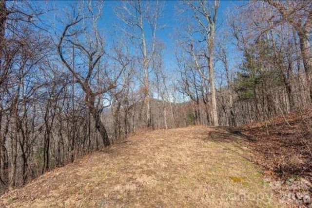 96 Castanea Mountain Drive, Asheville, NC 28803