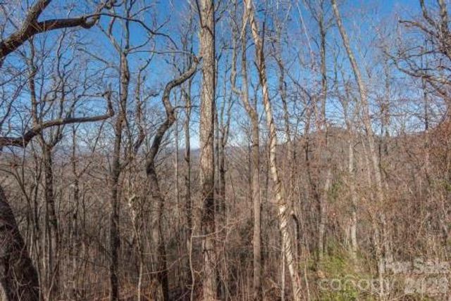 96 Castanea Mountain Drive, Asheville, NC 28803