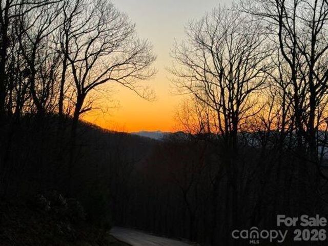 96 Castanea Mountain Drive, Asheville, NC 28803