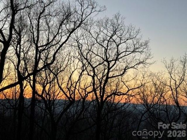 96 Castanea Mountain Drive, Asheville, NC 28803