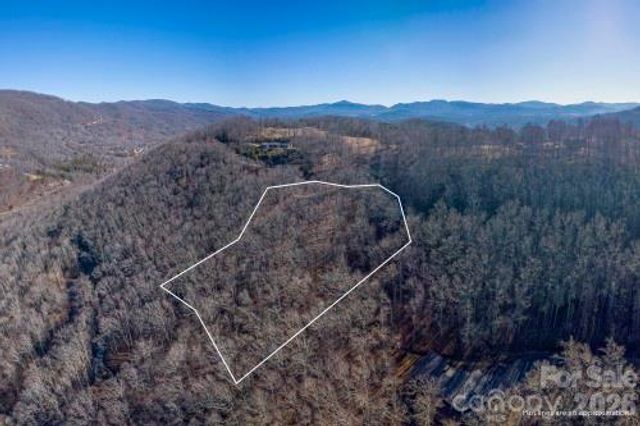 96 Castanea Mountain Drive, Asheville, NC 28803