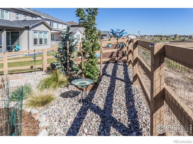 951 Rustling Street, Windsor, CO 80550