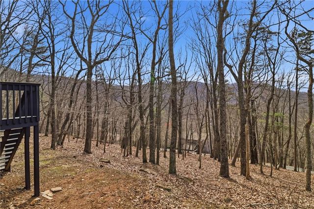 88 Bee Tree Ridge Court, Jasper, GA 30143