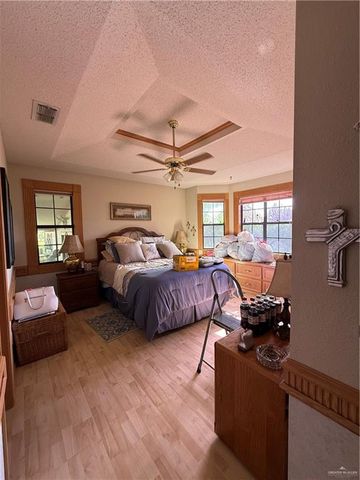 2303 Green Gate E Circle, Palmview, TX 78572