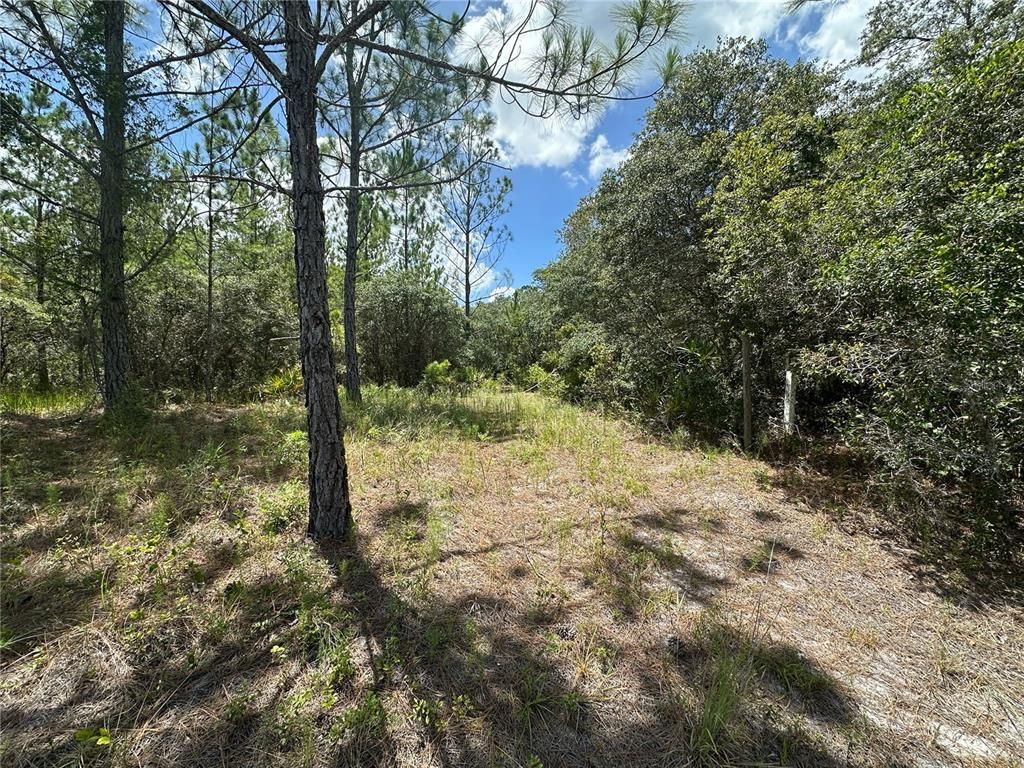 796 FISHER ROAD, Ocklawaha, FL 32179