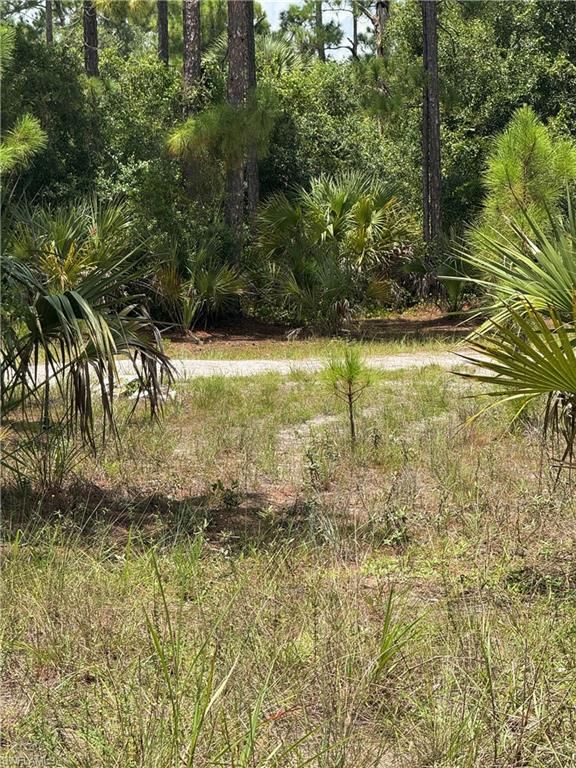 1011 Truman AVE, LEHIGH ACRES, FL 33972 — exterior
