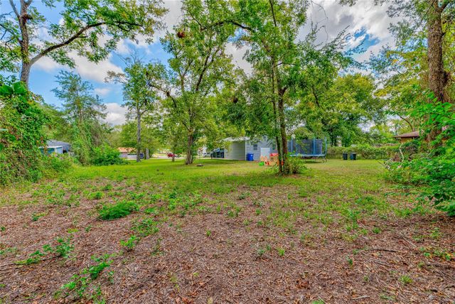 615 N Drew Avenue, Livingston, TX 77351