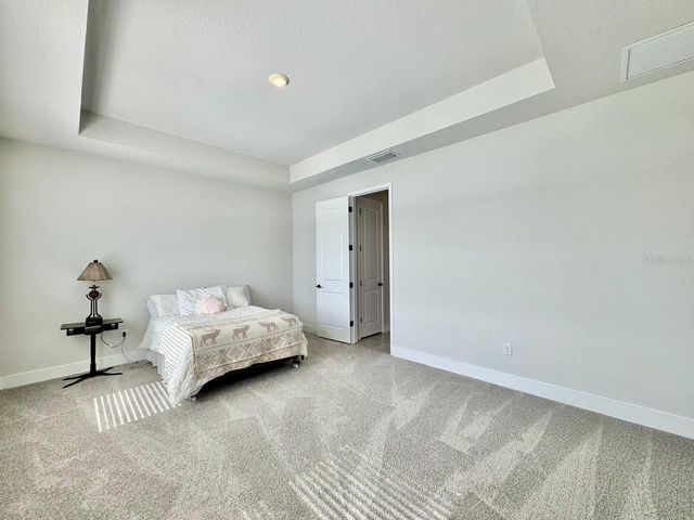 11393 HARDWOOD HAMMOCK LANE, Riverview, FL 33569