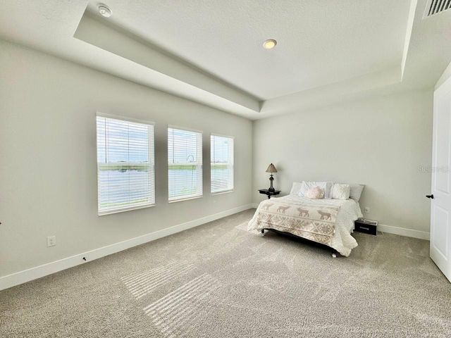 11393 HARDWOOD HAMMOCK LANE, Riverview, FL 33569