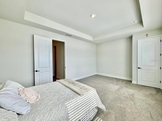 11393 HARDWOOD HAMMOCK LANE, Riverview, FL 33569