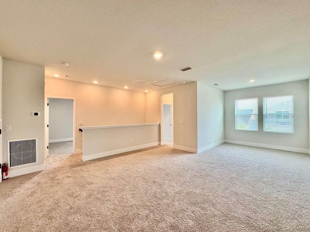 11393 HARDWOOD HAMMOCK LANE, Riverview, FL 33569