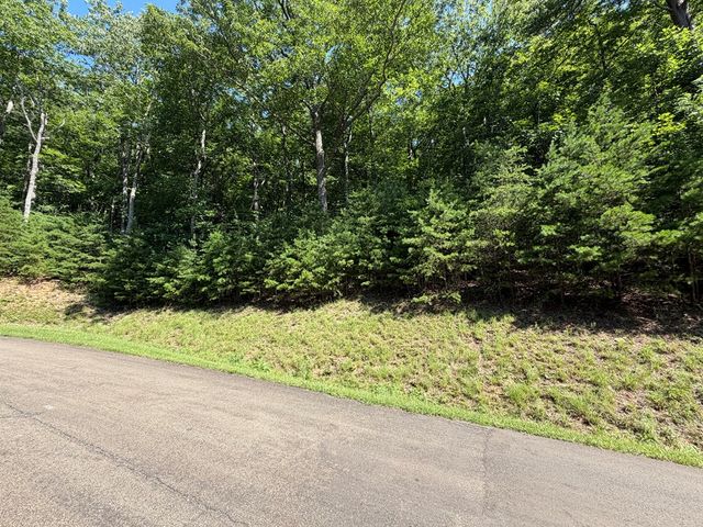 233 Stone Cliff Drive, Ellijay, GA 30560