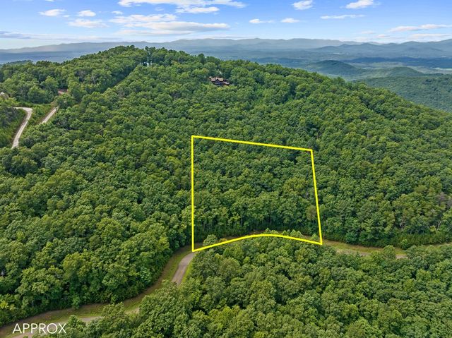 233 Stone Cliff Drive, Ellijay, GA 30560