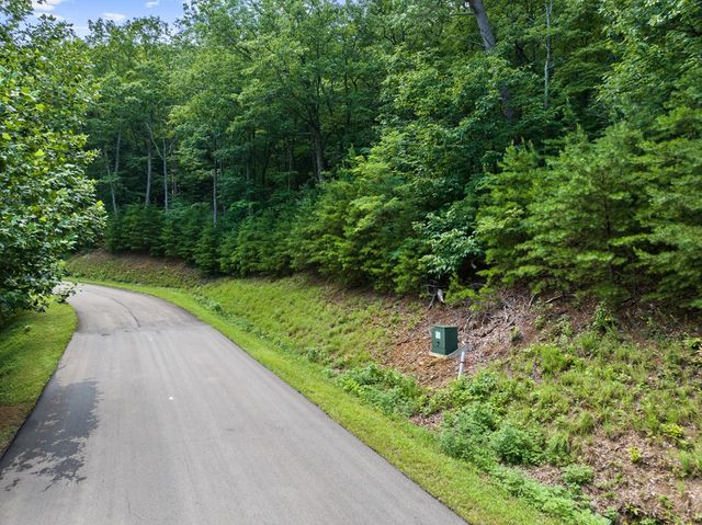 233 Stone Cliff Drive, Ellijay, GA 30560