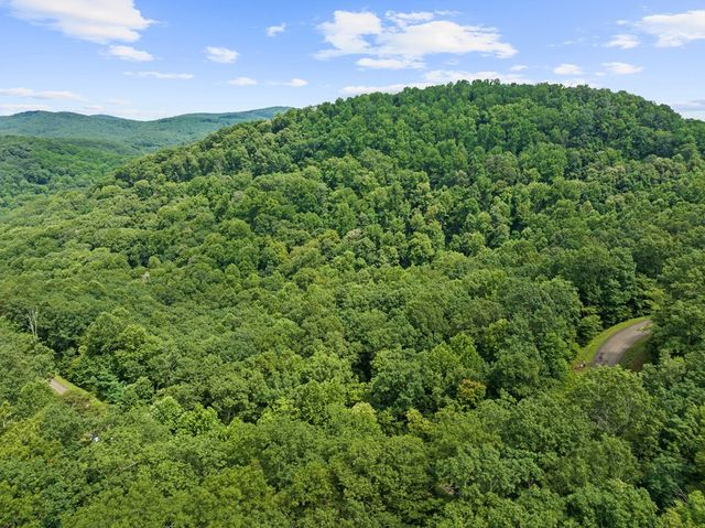 233 Stone Cliff Drive, Ellijay, GA 30560