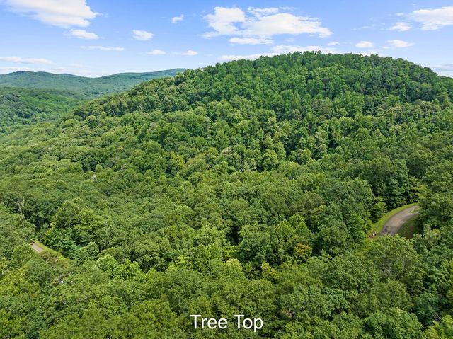 233 Stone Cliff Drive, Ellijay, GA 30560