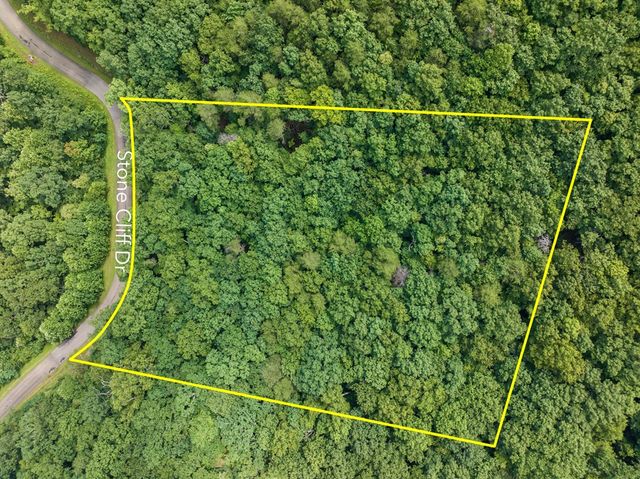 233 Stone Cliff Drive, Ellijay, GA 30560