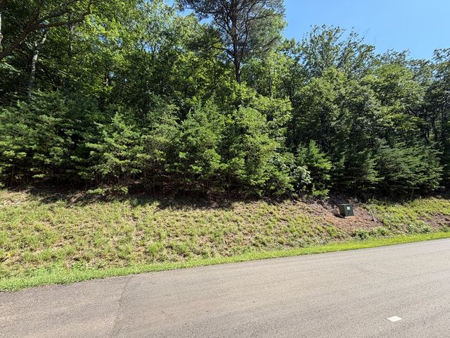233 Stone Cliff Drive, Ellijay, GA 30560