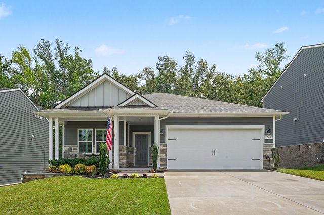 241 Brook Ave, White House, TN 37188