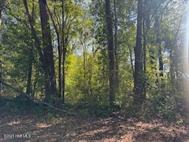 0 5th Street, Hamlet, NC 28345
