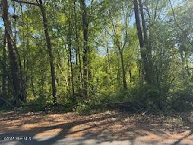0 5th Street, Hamlet, NC 28345