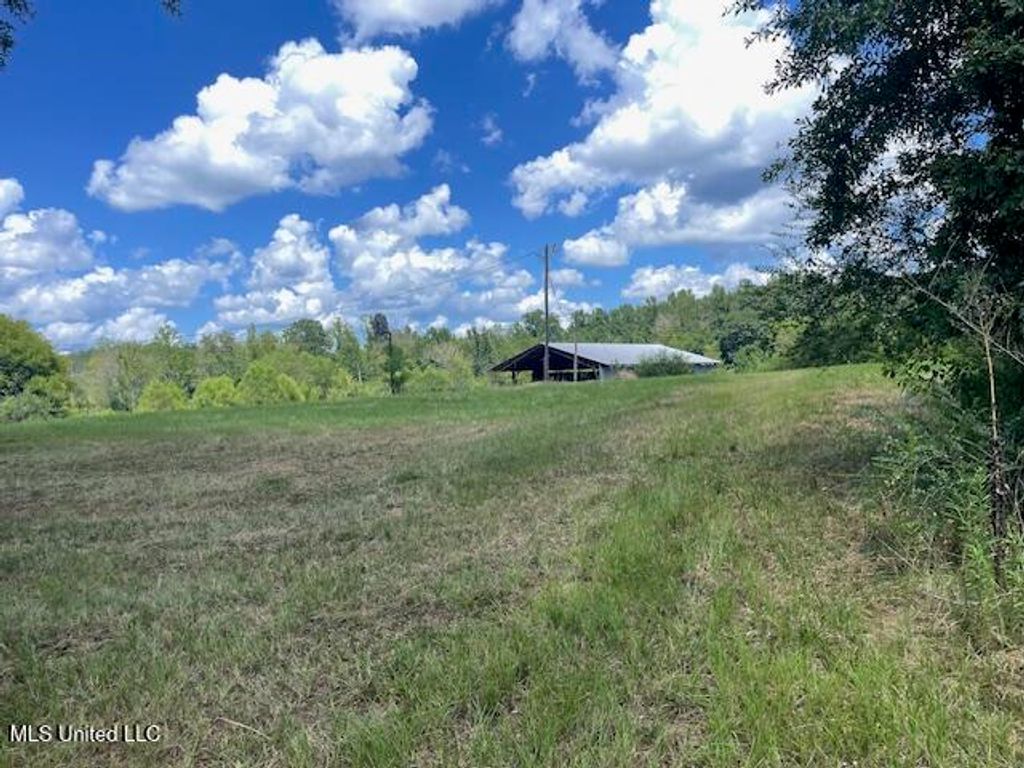 2742 King Road, Forest, MS 39074