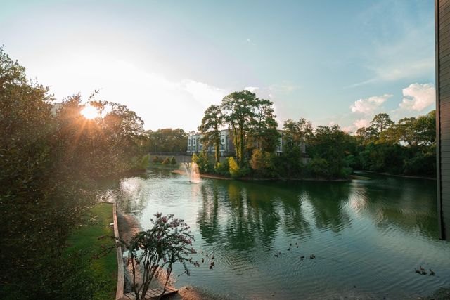 8800 Woodway Drive 10, Houston, TX 77063