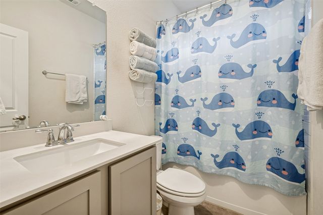 10920 Canyon Mine Drive, Aubrey, TX 76227